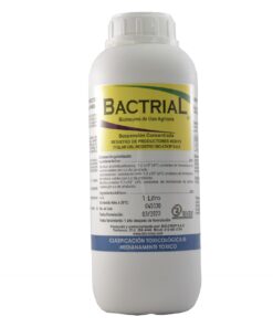 BACTRIAL SC