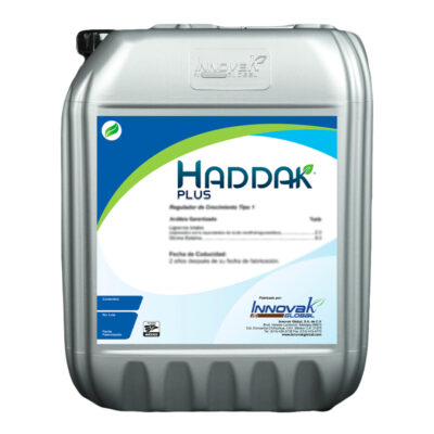 HADDAK SC
