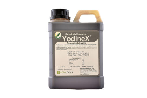 Yodinex - Imagen 2