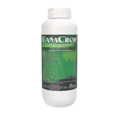 Cañacrop SL