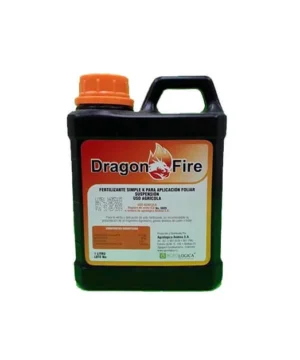 Dragon Fire