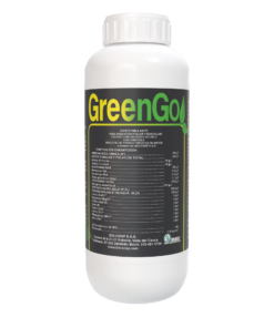GREENGO SL
