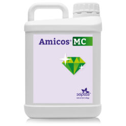 AMICOS MC