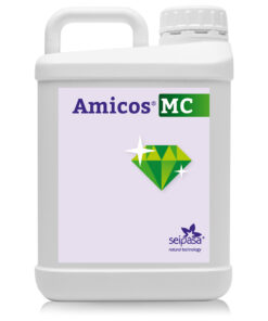 AMICOS MC