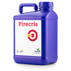 PIRECRIS