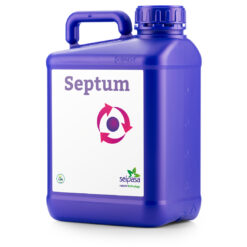 SEPTUM